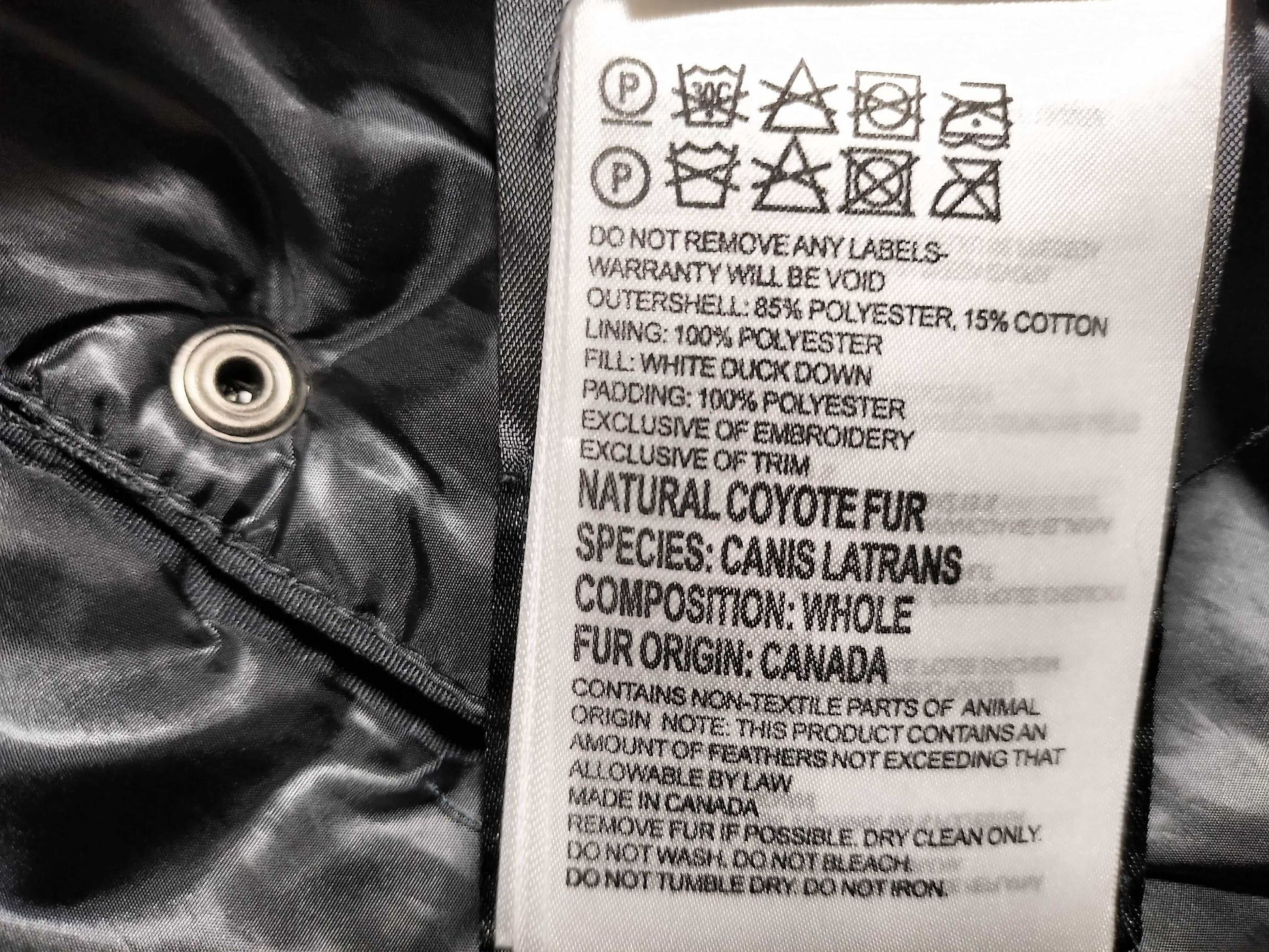 Canada Goose Down Jacket