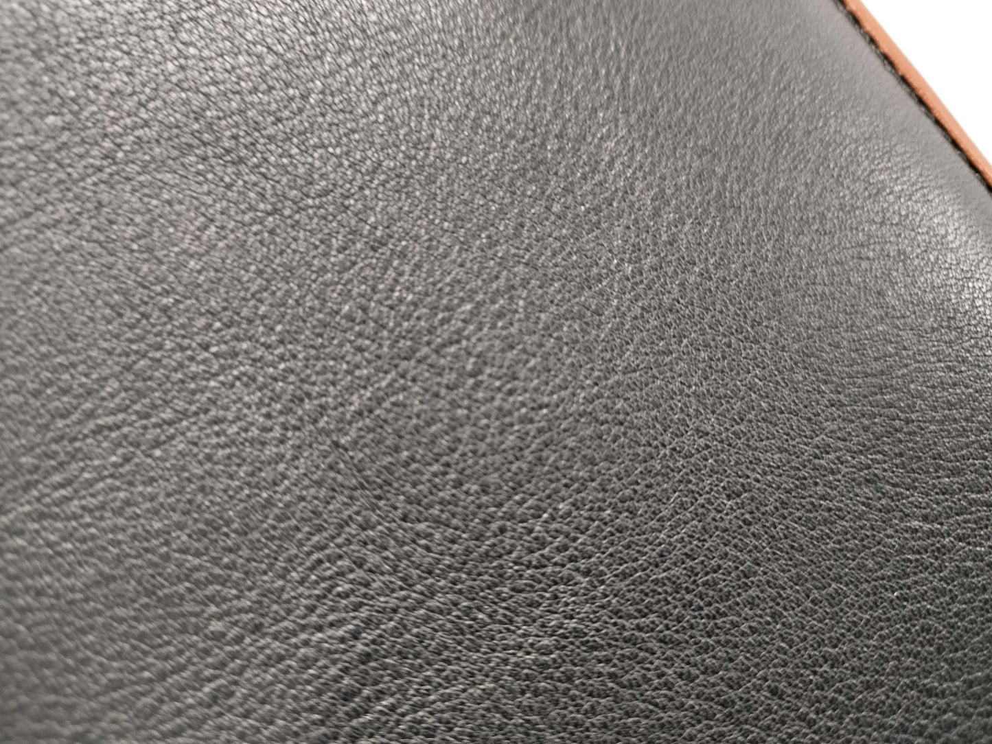 CELINE Clutch Shoulder Bag