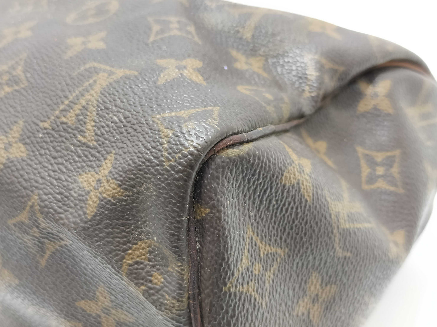 LOUIS VUITTON Monogram LV Speedy Handbag