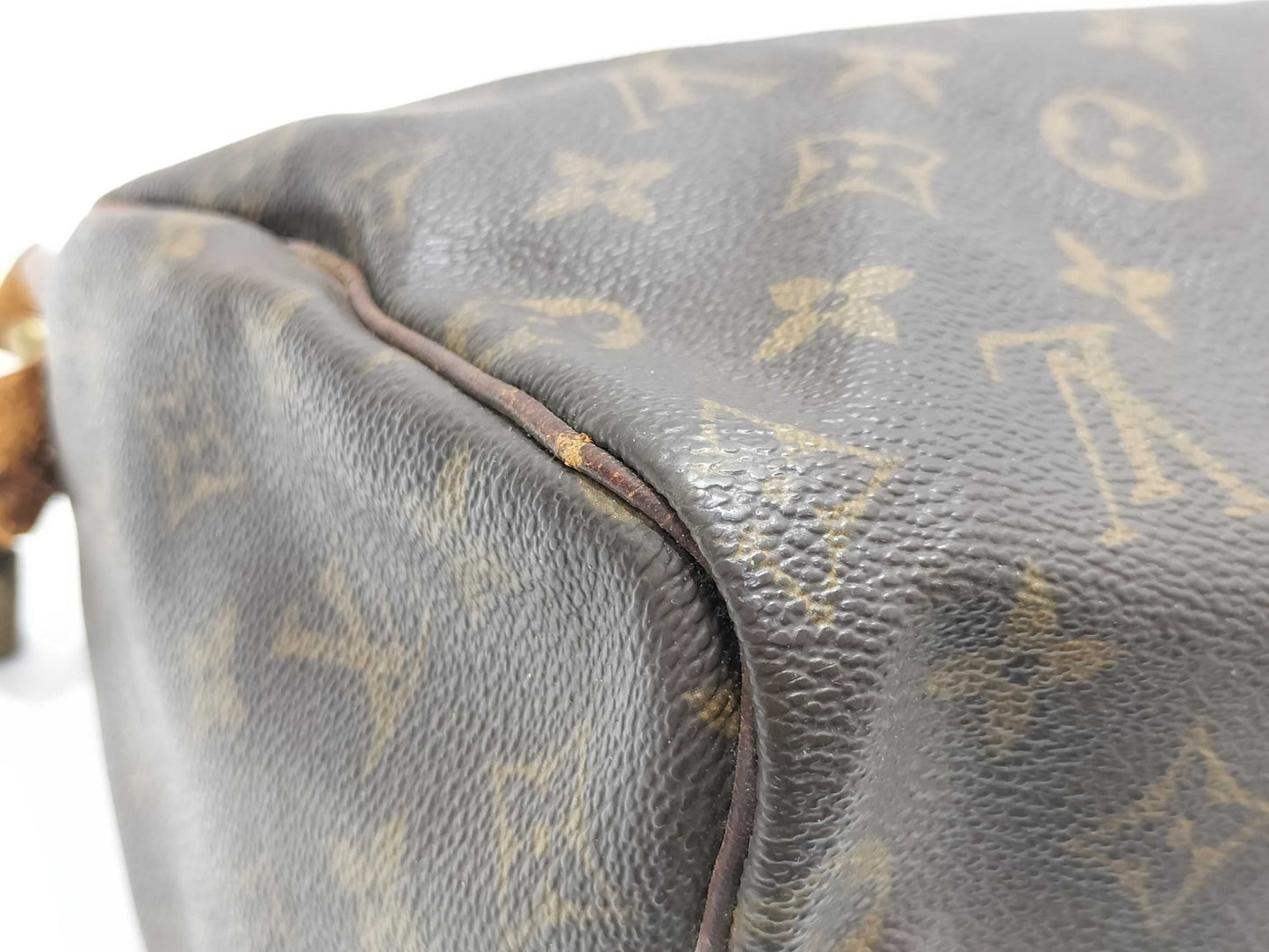 LOUIS VUITTON Monogram LV Speedy Handbag