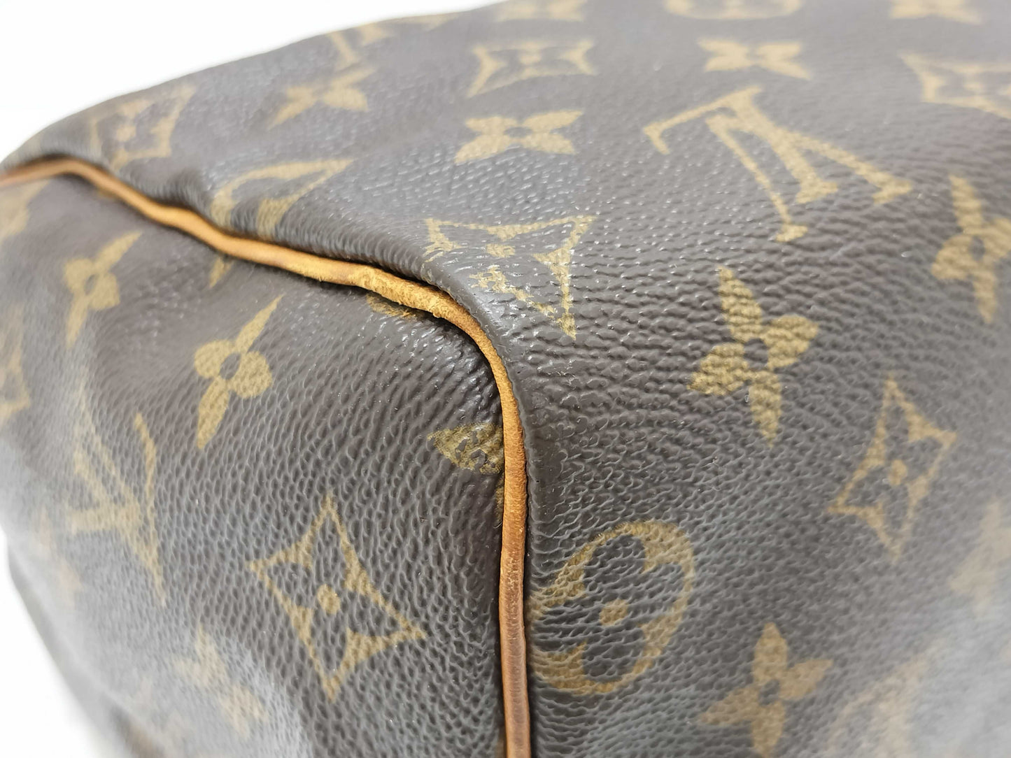 LOUIS VUITTON Monogram LV Speedy Handbag