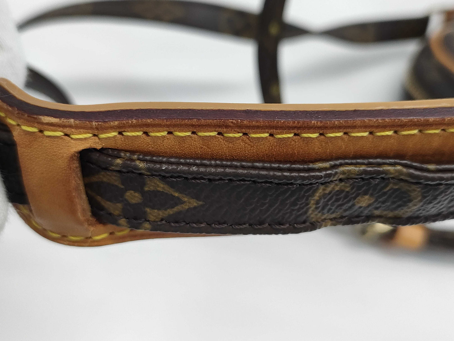 LOUIS VUITTON Monogram Louis Vuitton Amazon Shoulder Bag