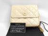 CHANEL Chain Shoulder Mini Lizard Shoulder Bag