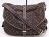 LOUIS VUITTON M95227 Mini Lansaumur 30 Ebene Shoulder Bag