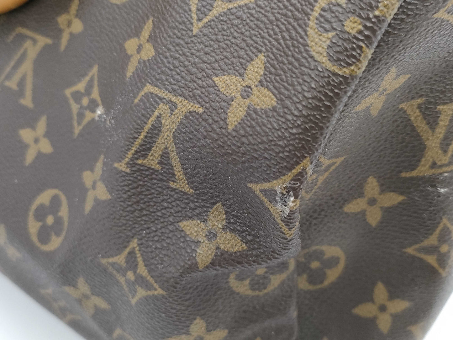 LOUIS VUITTON Monogram Speedy Handbag
