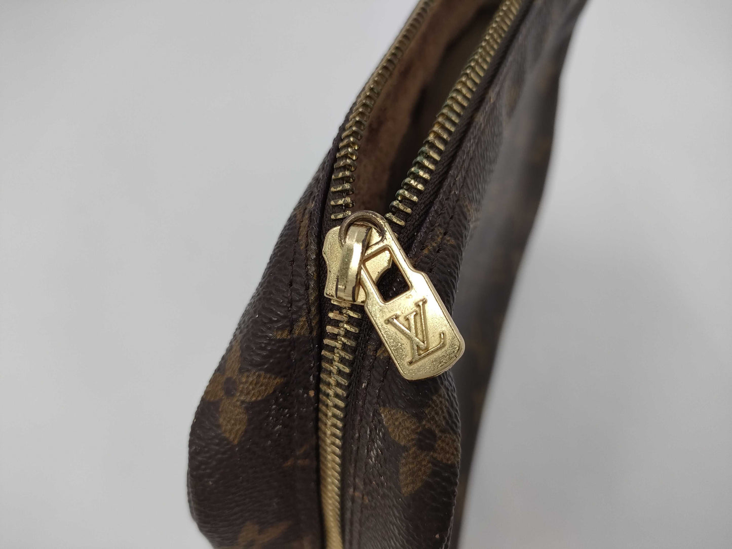 LOUIS VUITTON Monogram True Towel Pouch