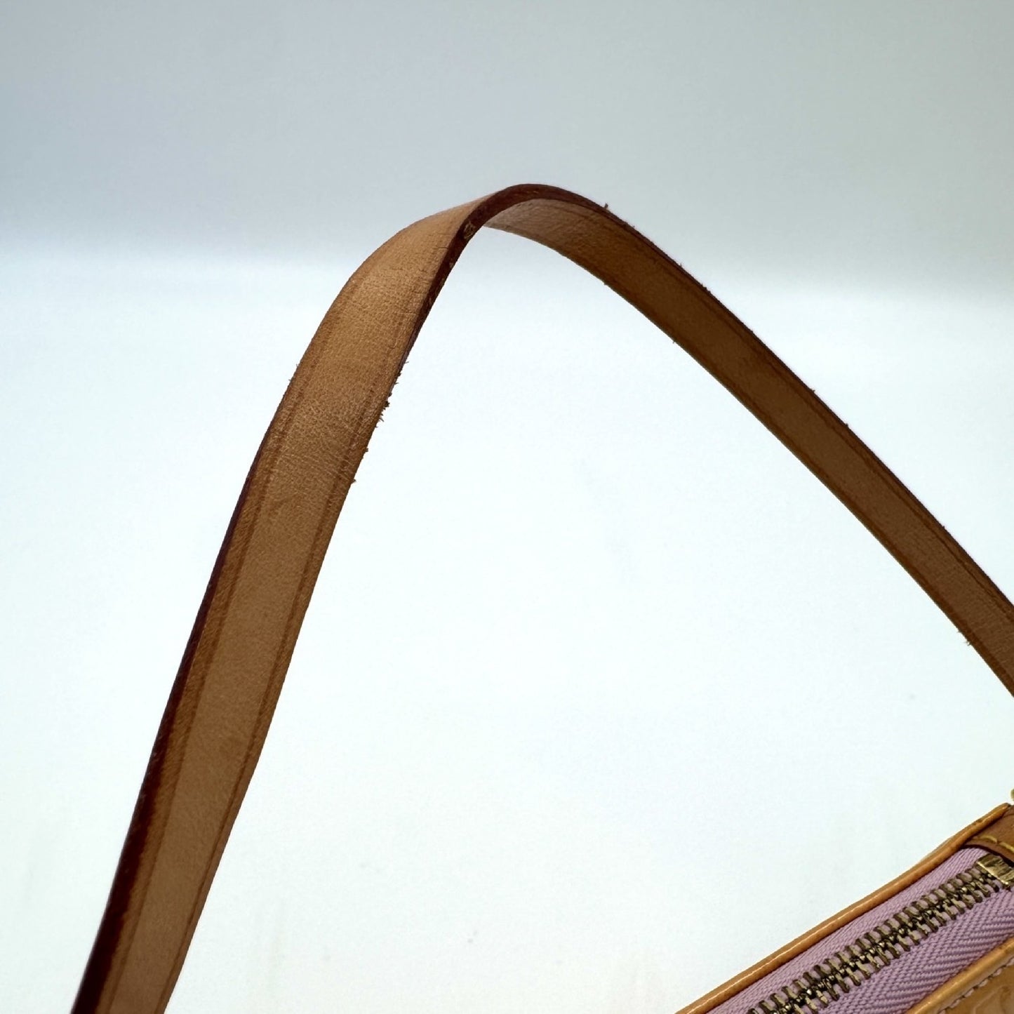 LOUIS VUITTON Vernis Accessory Pouch