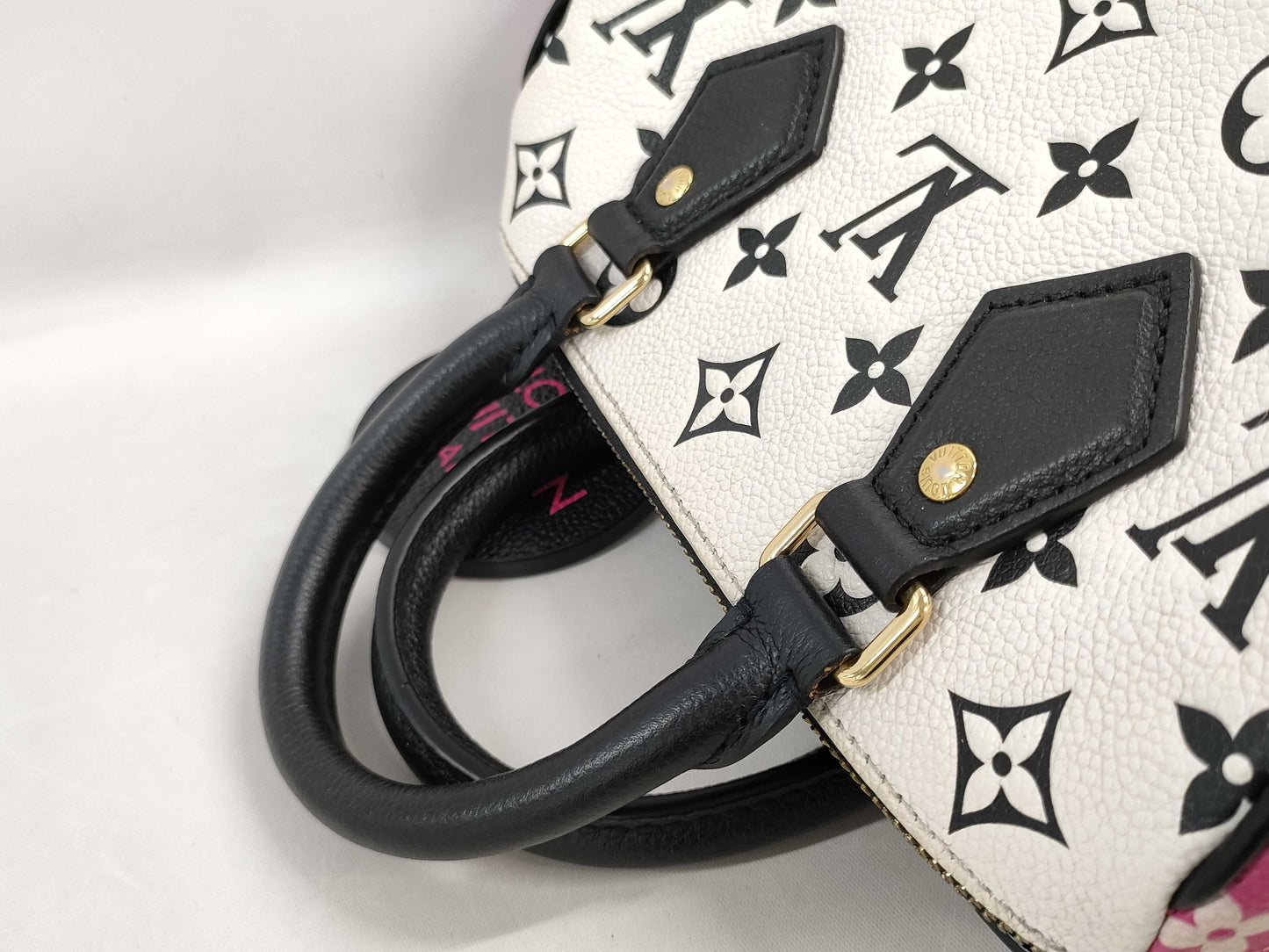 LOUIS VUITTON Speedy20 Shoulder Bag/Boston Bag