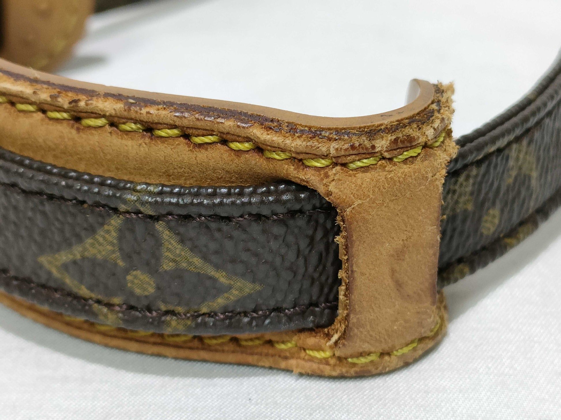 LOUIS VUITTON Monogram Vuitton Monogram Amazon M45236 Shoulder Bag