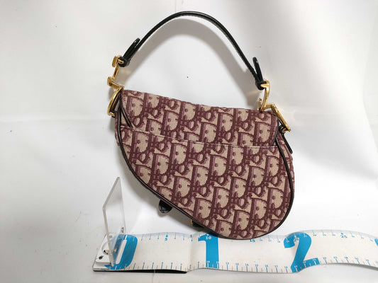Dior Trotter Trotter Canvas Saddlebag Topouch