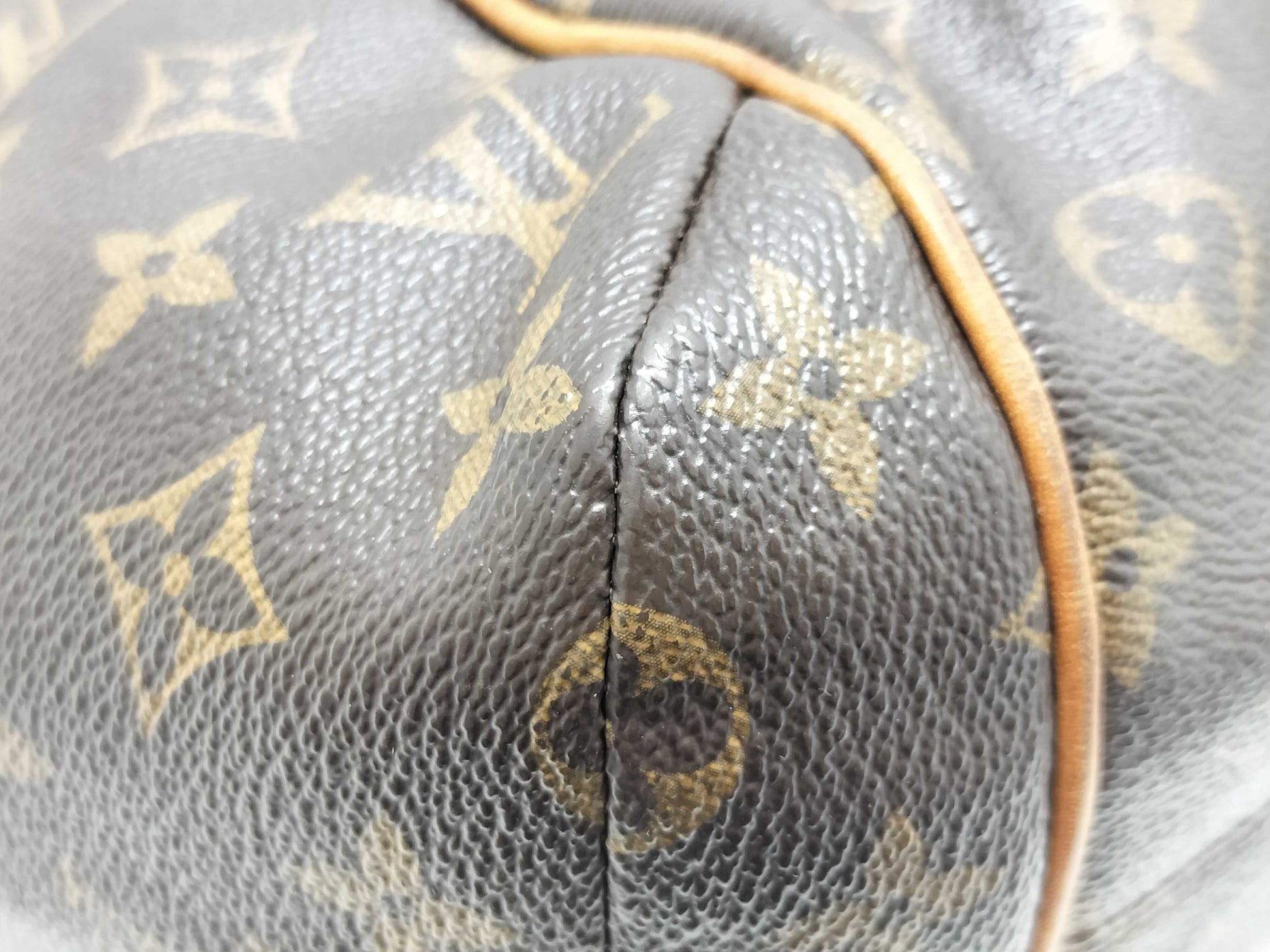 LOUIS VUITTON Monogram Total Tote Bag