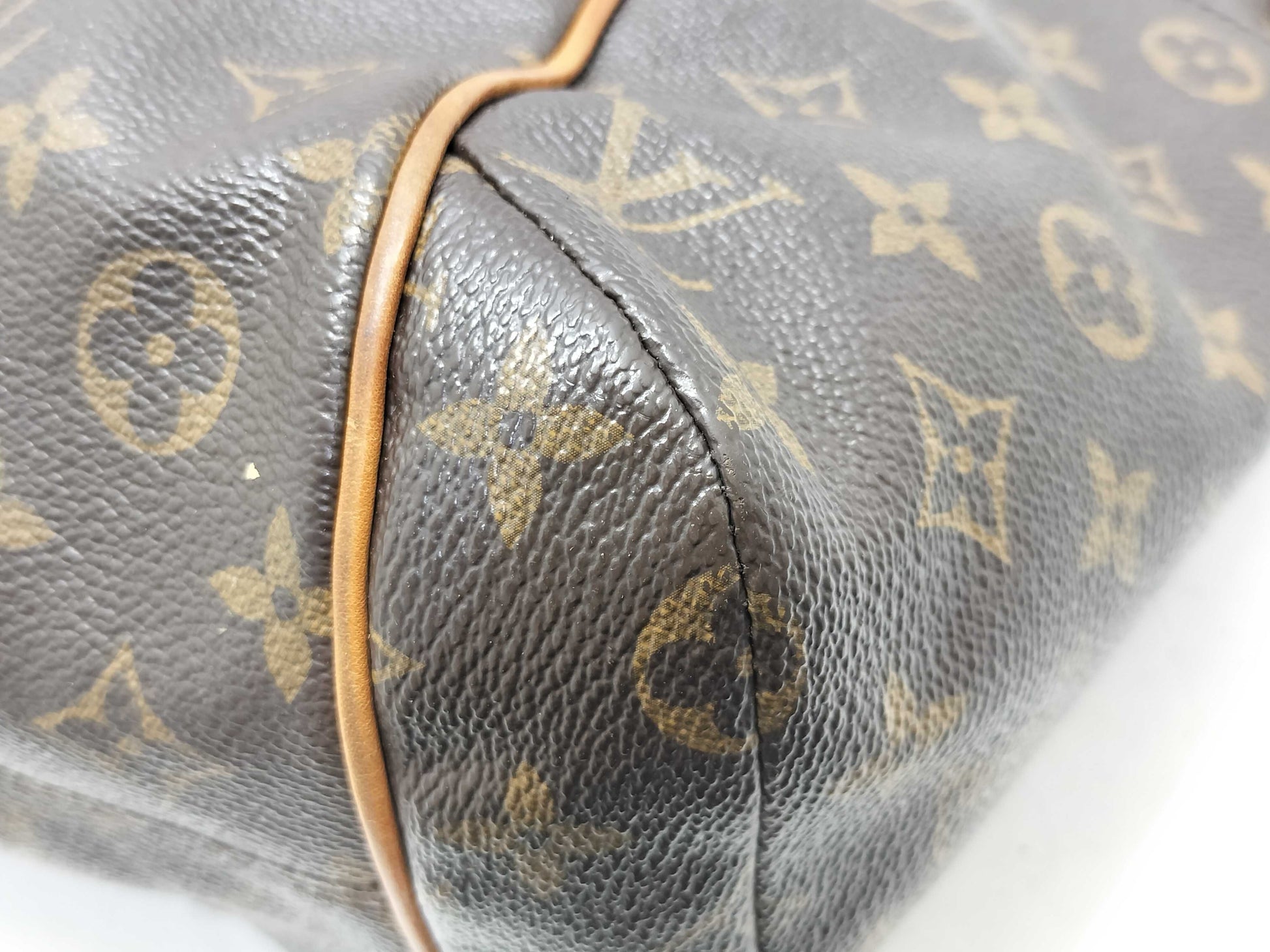 LOUIS VUITTON Monogram Total Tote Bag