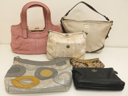 COACH COACH 6-Point Mountain Signature Canvas Leather Shoulder Clutch Tote Handbag Shoulder Bag