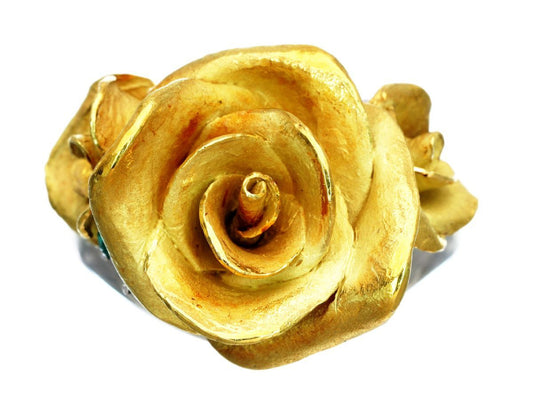 TOMOYAS E0.137ct PM900/K18 13.6g Ring