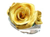 TOMOYAS E0.137ct PM900/K18 13.6g Ring
