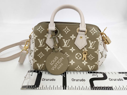 LOUIS VUITTON Louis Vuitton Speedy 20 Handbag