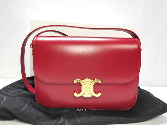 CELINE Unused Triomph Bag Shoulder Bag