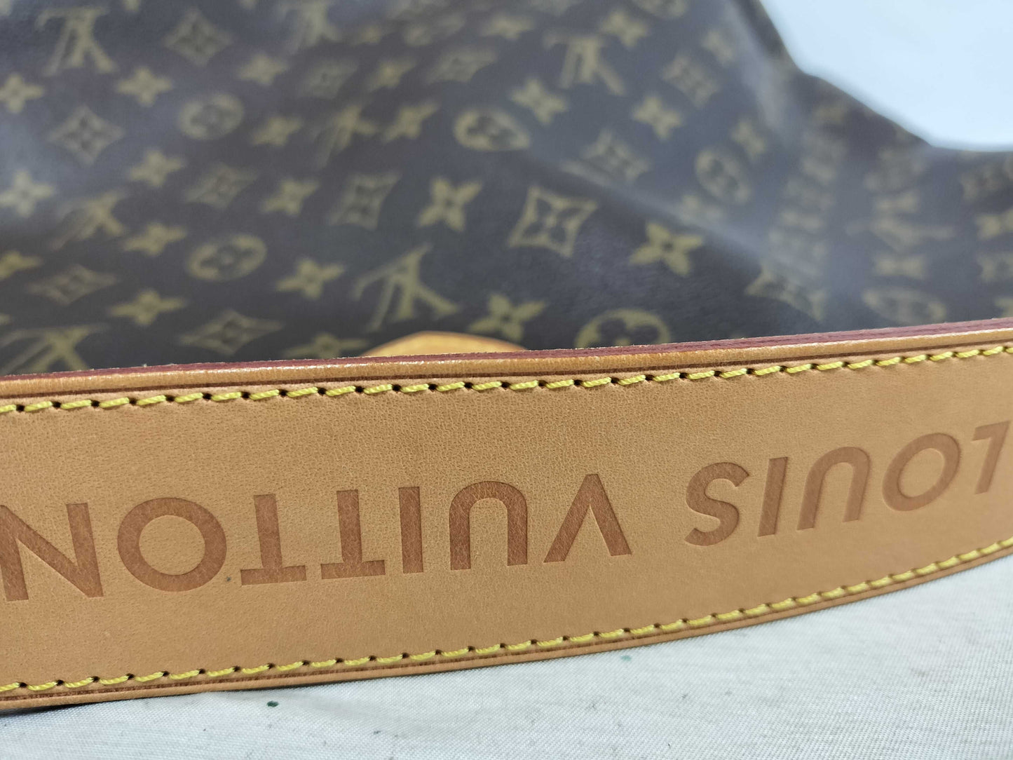 LOUIS VUITTON Monogram Delightful MM Tote Bag