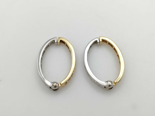 D0.50/0.50ct K18/PT950 5.4g Earrings