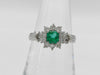 E0.41ct D0.52ct PT900 4.7g Ring
