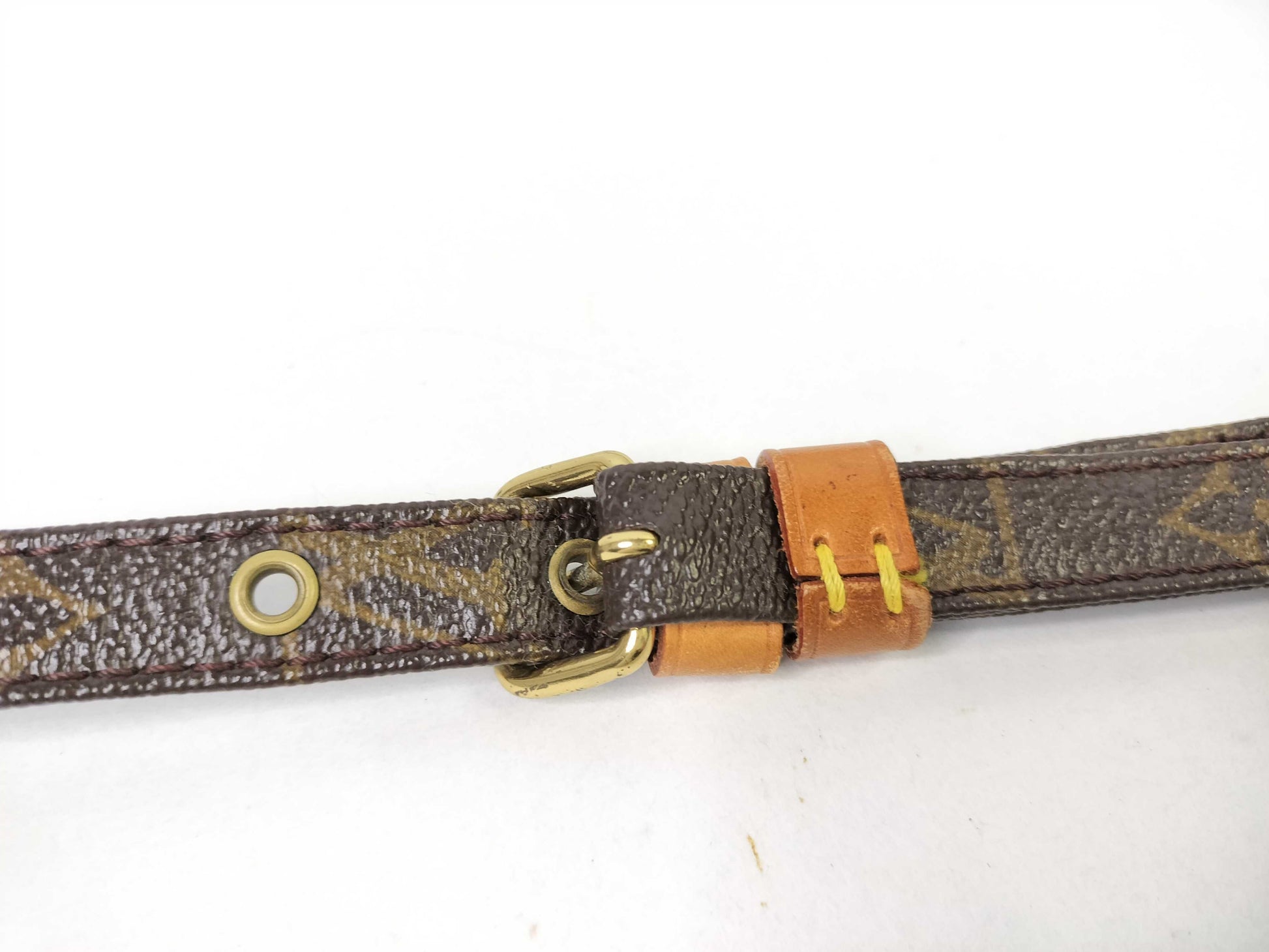 LOUIS VUITTON Monogram Amazon TH0969 Shoulder Bag