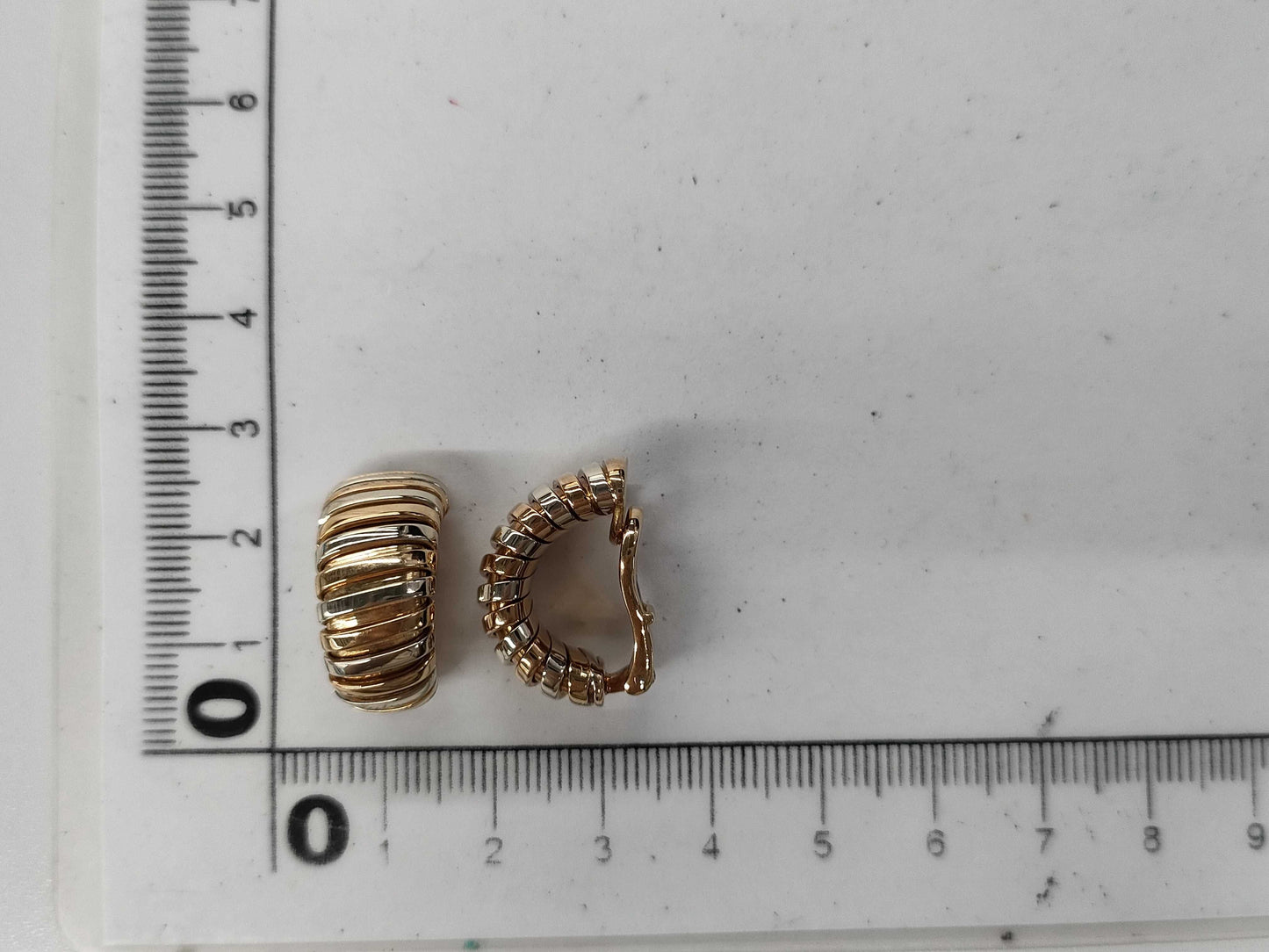 BVLGARI Tubogas 750 19.1g Earrings