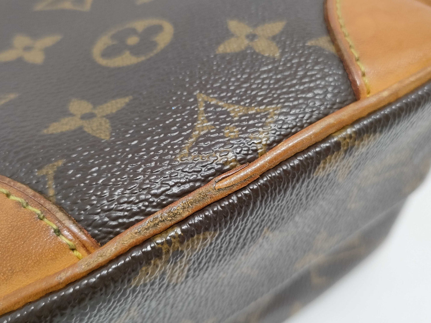 LOUIS VUITTON Amazon Monogram Shoulder Bag M45236