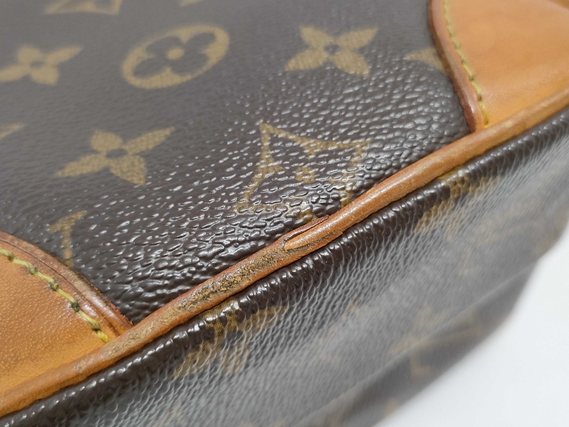 LOUIS VUITTON Amazon Monogram Shoulder Bag M45236