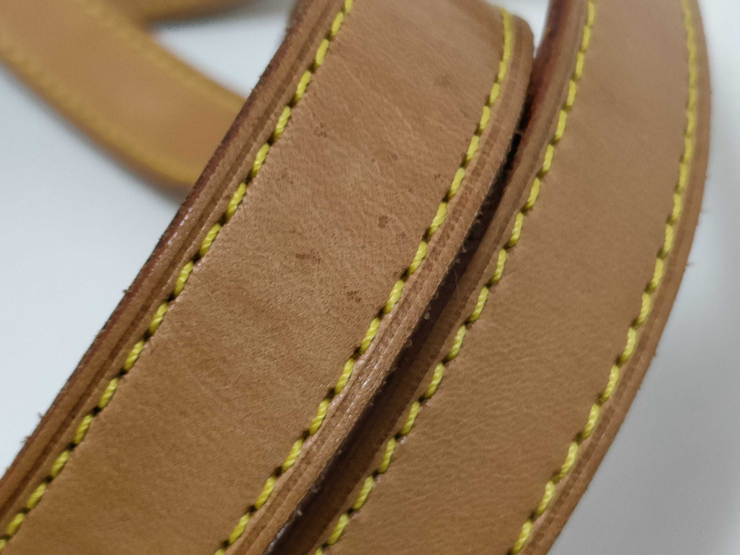 LOUIS VUITTON Monogram Caba Maison Tote Bag