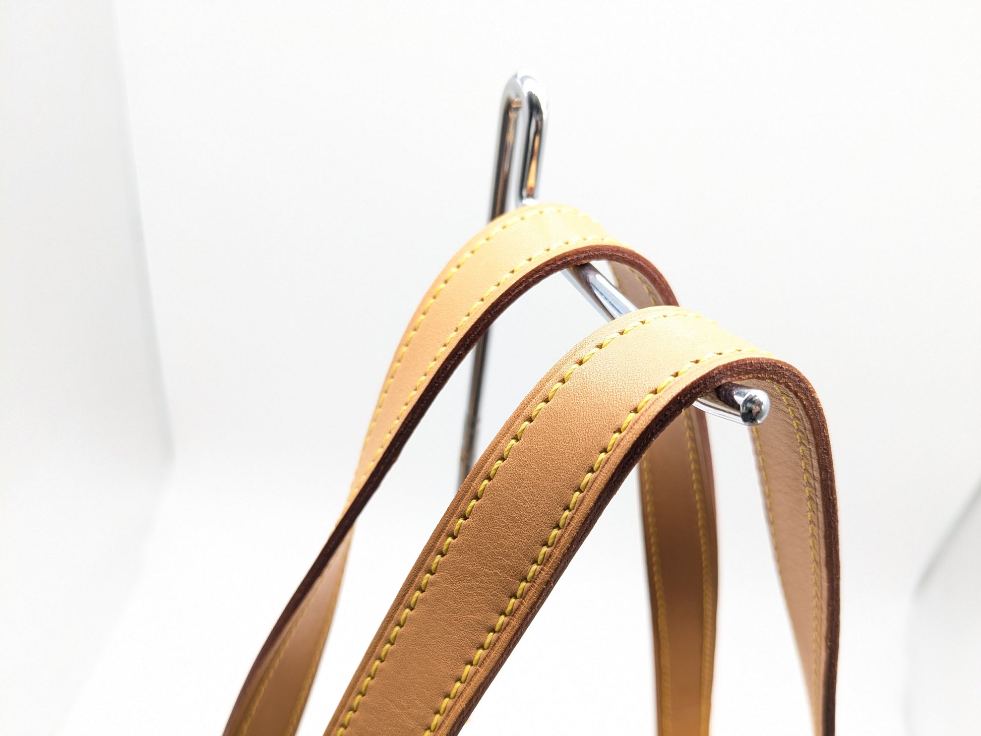 LOUIS VUITTON LV Verni Houston Handbag