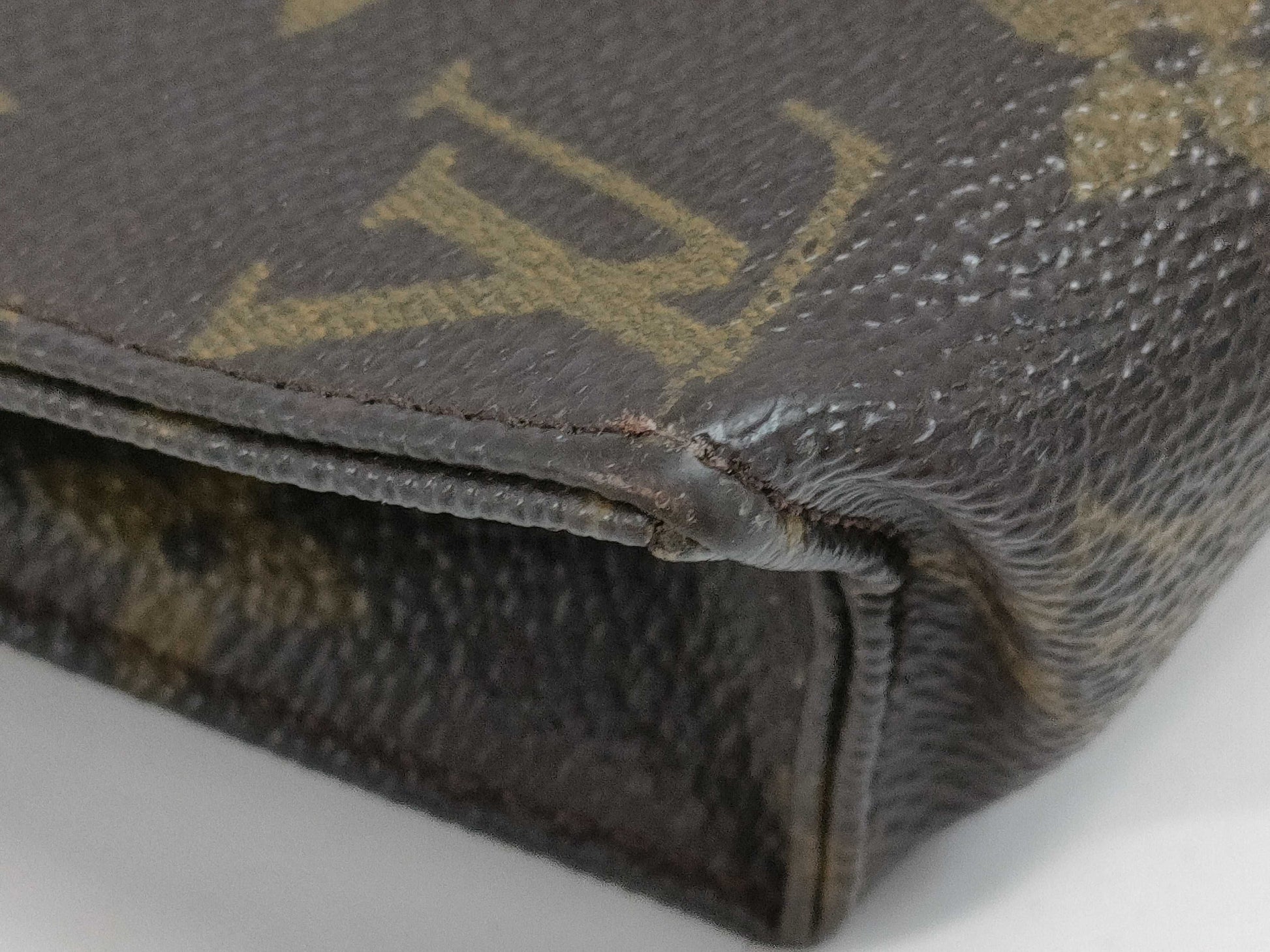 LOUIS VUITTON Vuitton Monogram Poche Tweet 19 Pouch