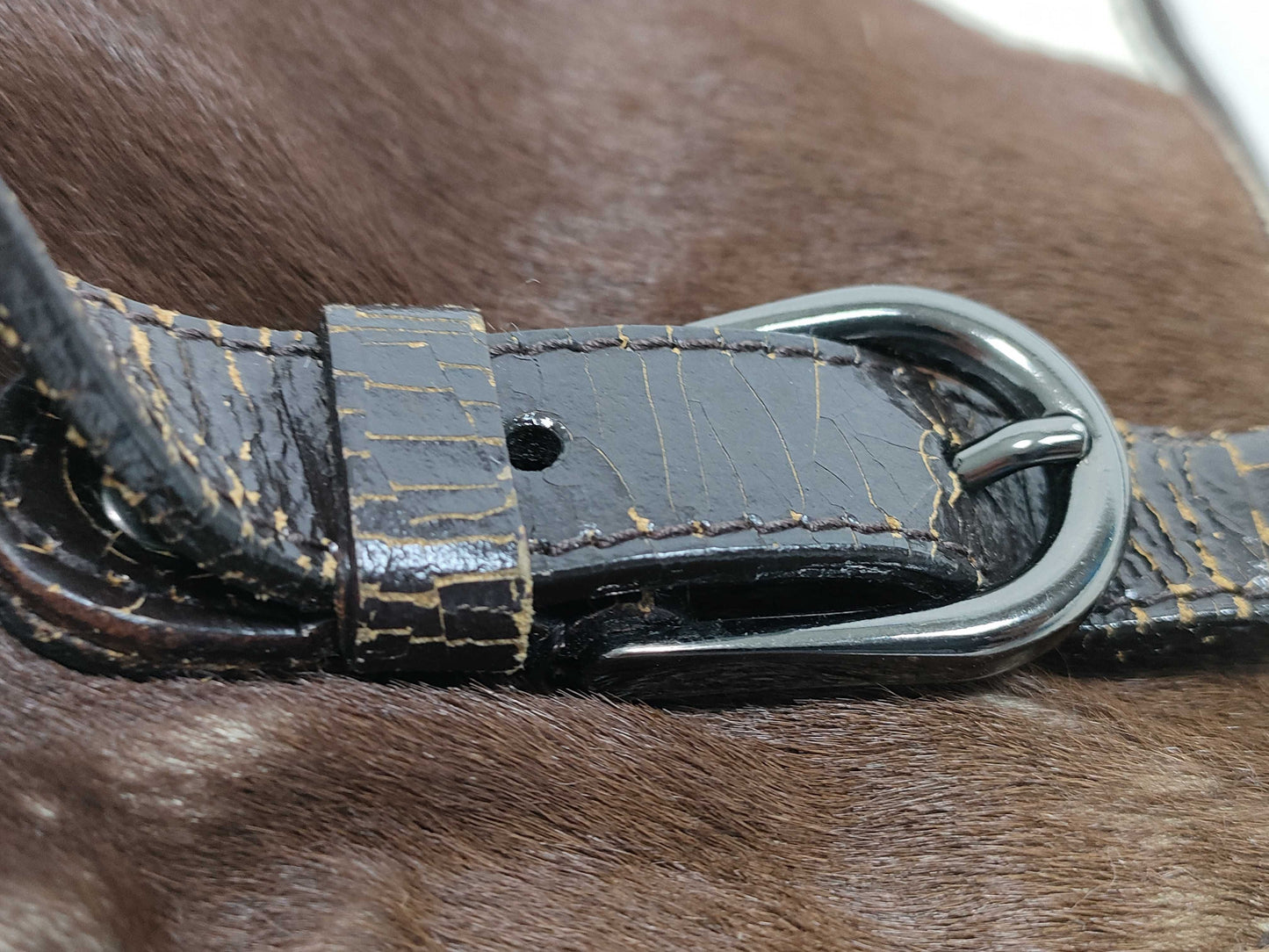 Miu Miu Miu Miu Archive Handbag Handbag