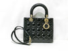 Dior Handbag Handbag