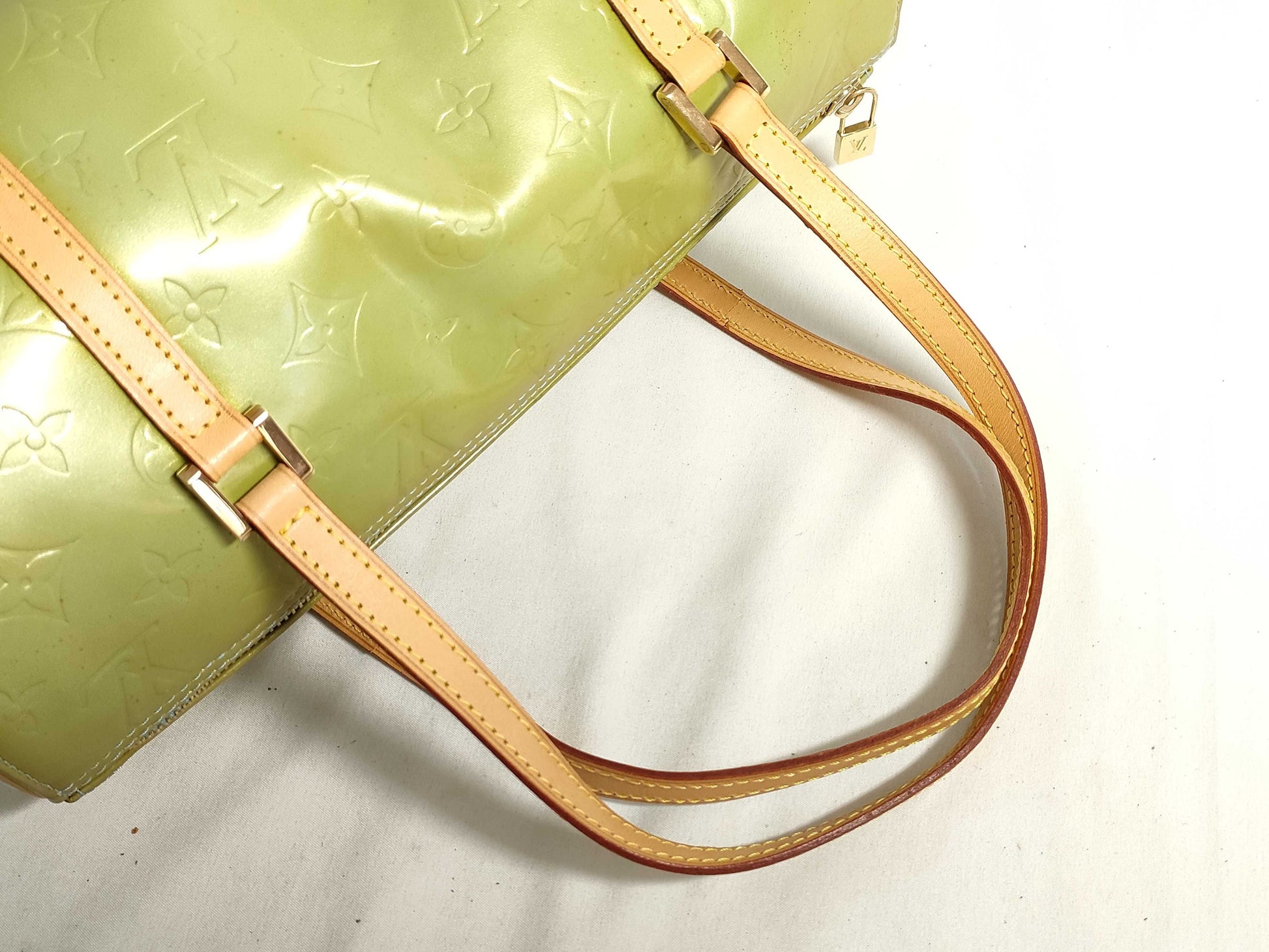 LOUIS VUITTON Verni LV Bag Handbag