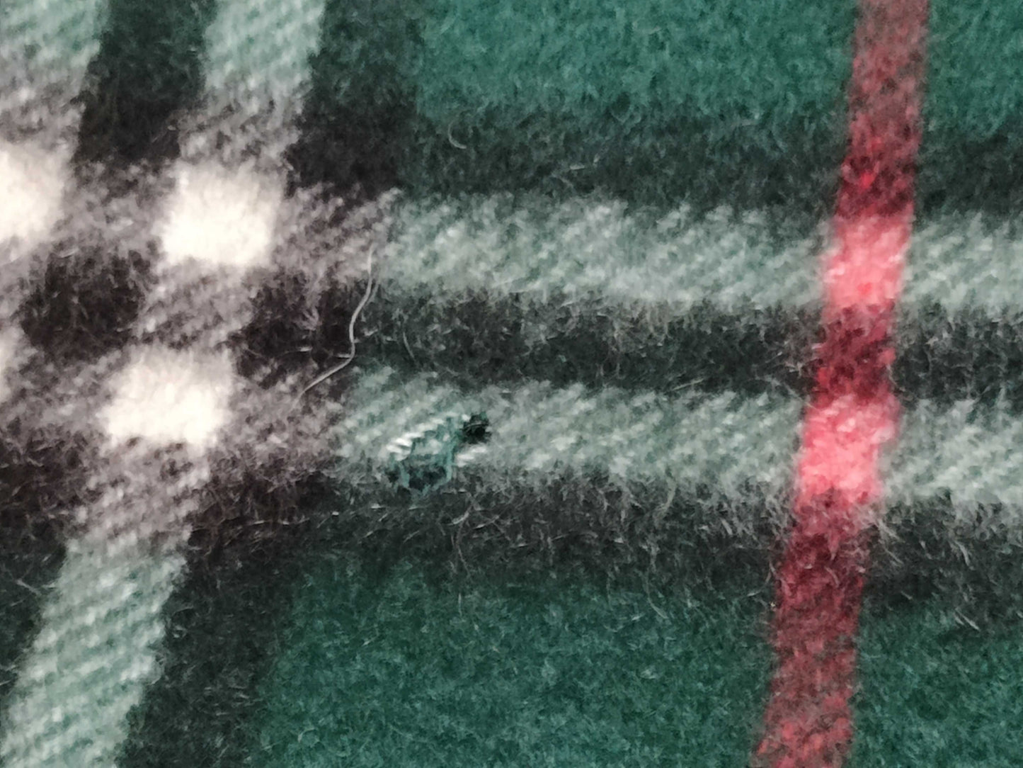 BURBERRY Nova Check Cashmere Fringe Scarf in Green