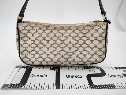 CELINE Triomphe Pouch