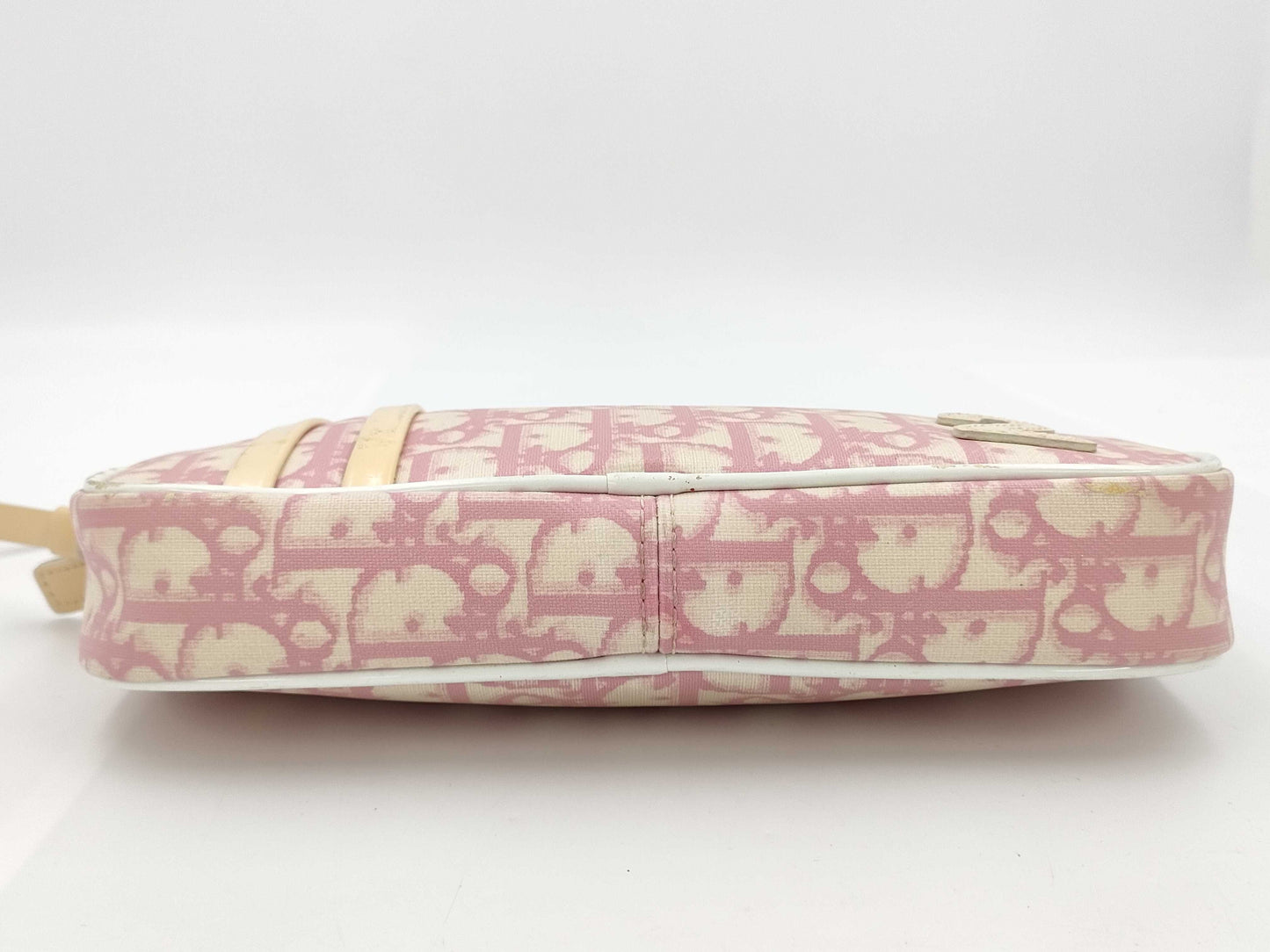 Dior Christian Dior Accessory Pouch Pouch