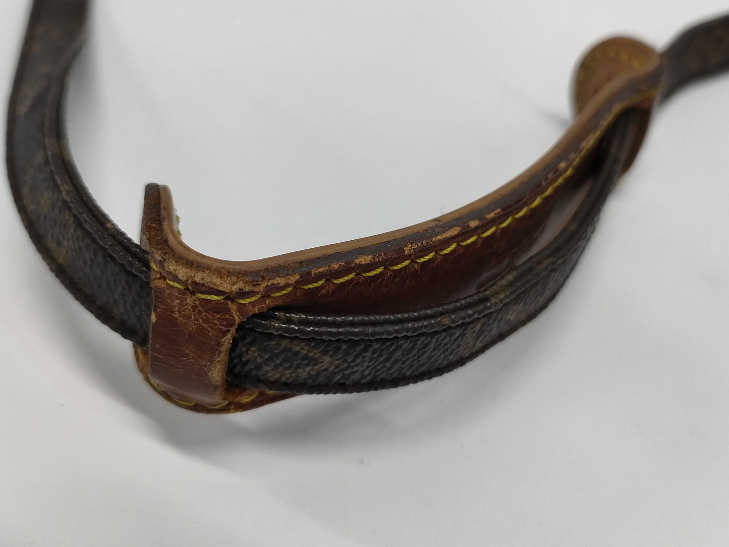 LOUIS VUITTON Monogram Amazon Shoulder Bag