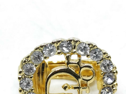 Dior Christian Dior Earrings and Necklace Set GP Necklace