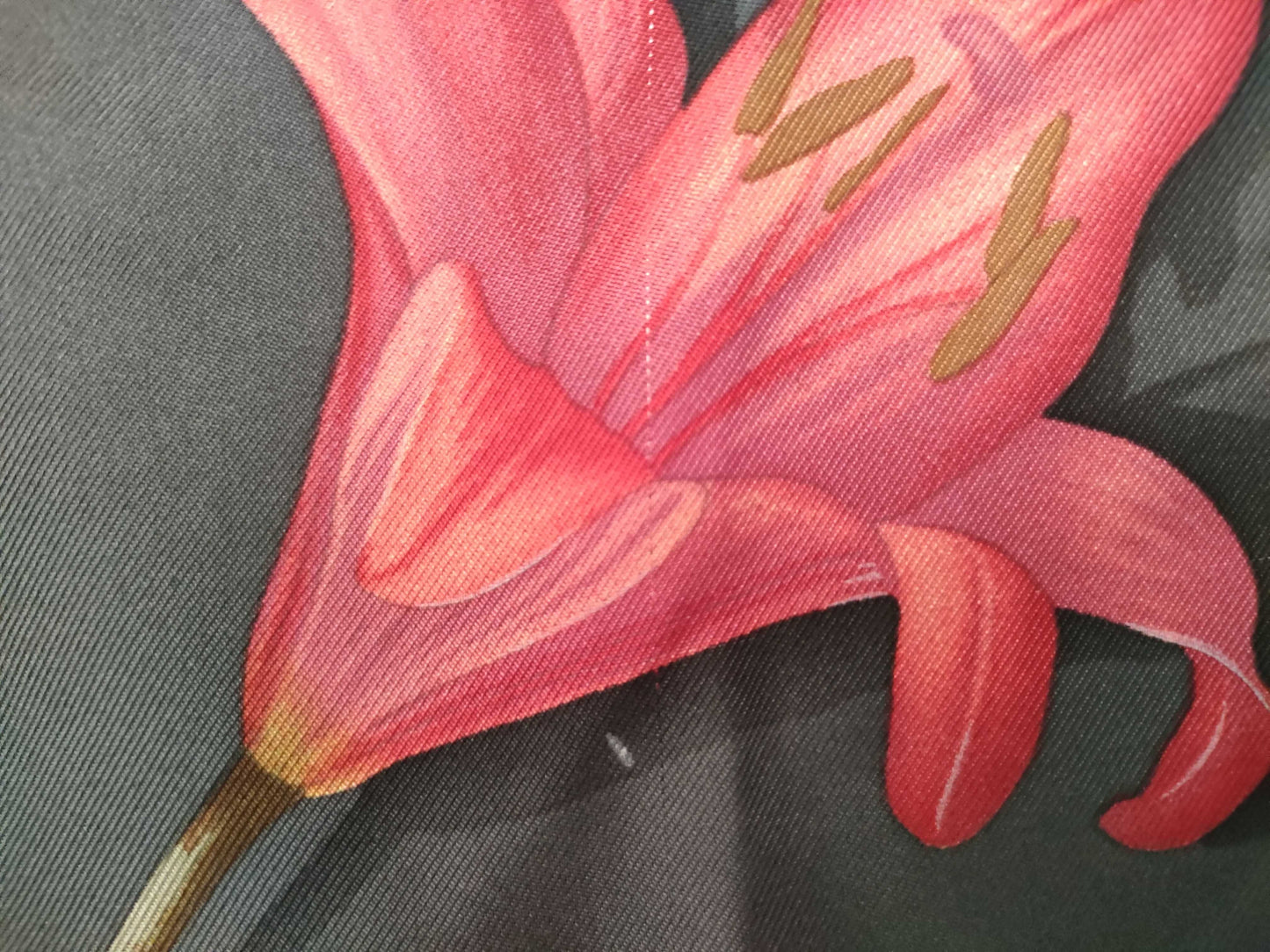 Salvatore Ferragamo Scarf Silk Other Accessories