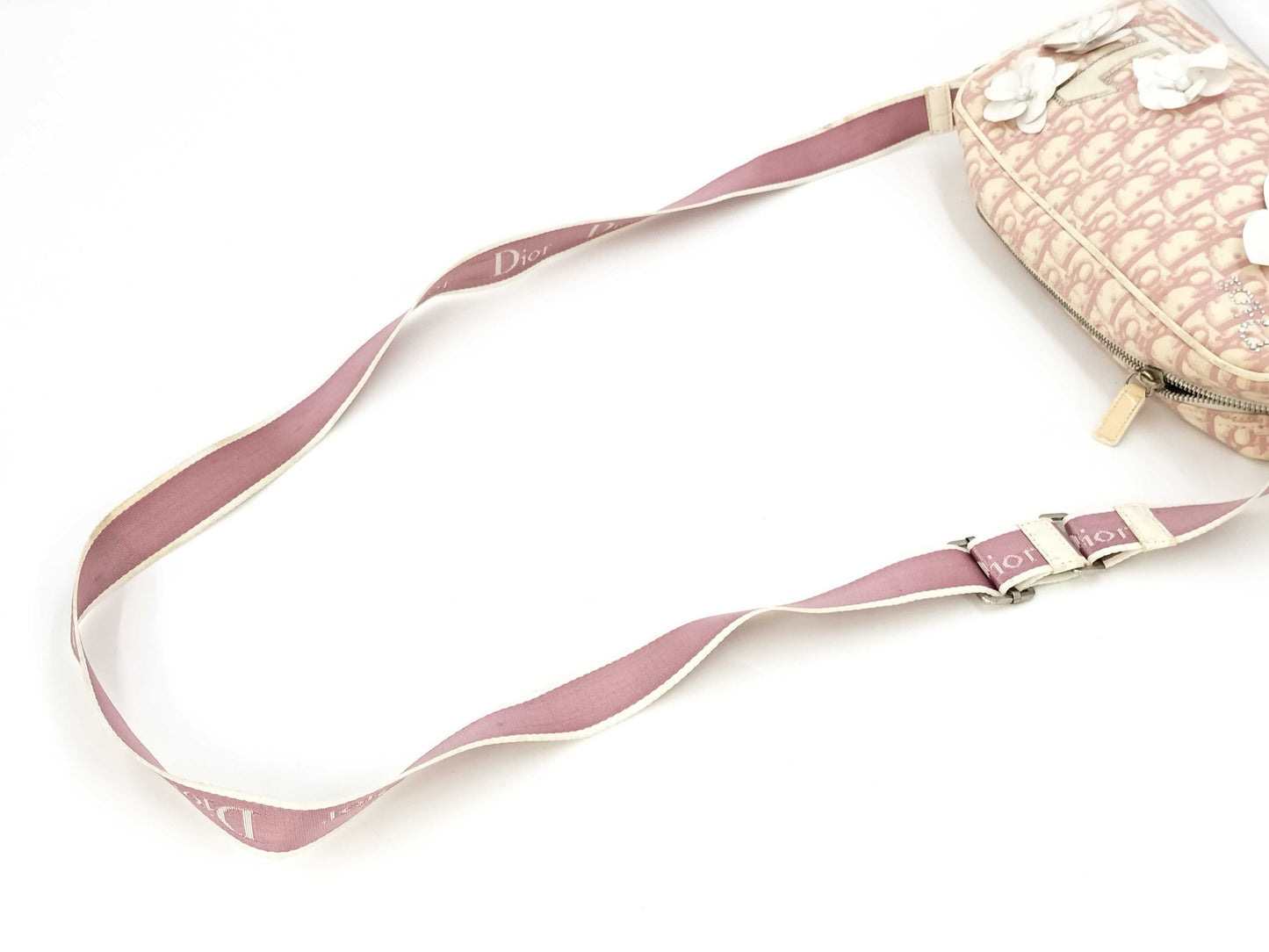 Dior Trotter Ribbon Rhinestone Shoulder Bag