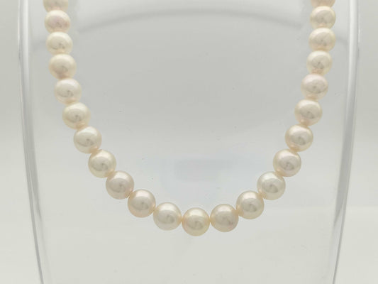 Akoya Pearl Diameter Approx. 7.4-7.8mm SV 37.3g Necklace