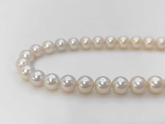 Akoya Pearl Diameter Approx. 7.0-7.5mm SV 32.2g Necklace