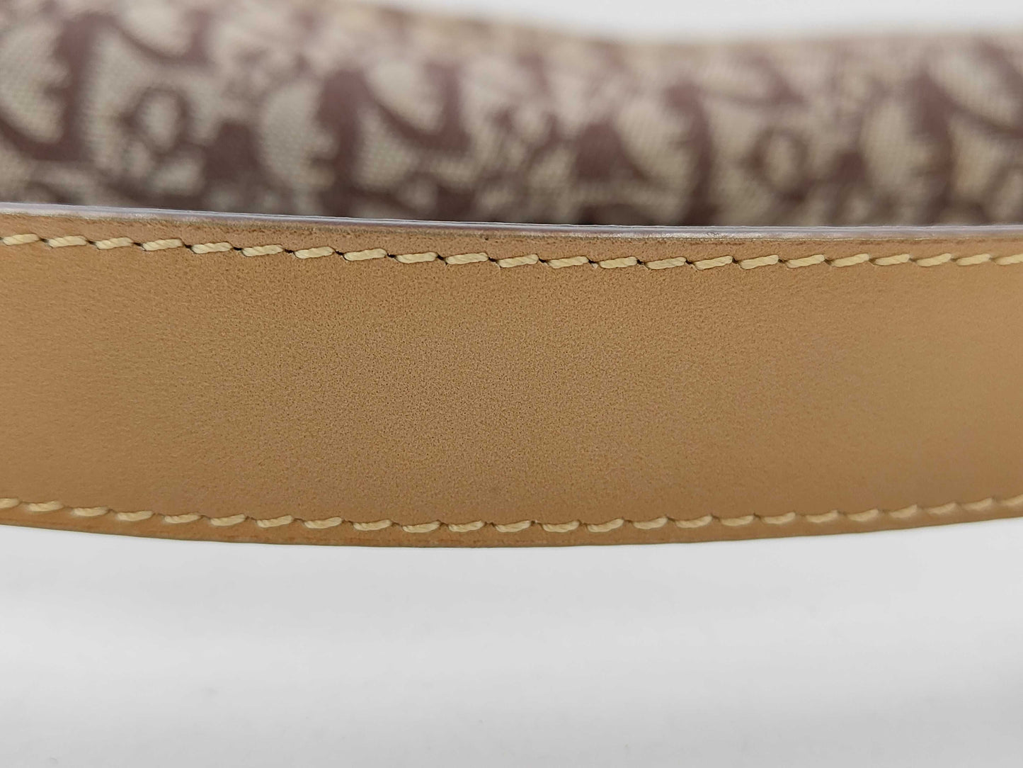 Dior Trotter Christian Dior Bag Handbag