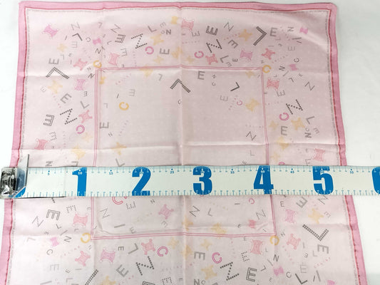 CELINE CELINE Scarves Other Apparel