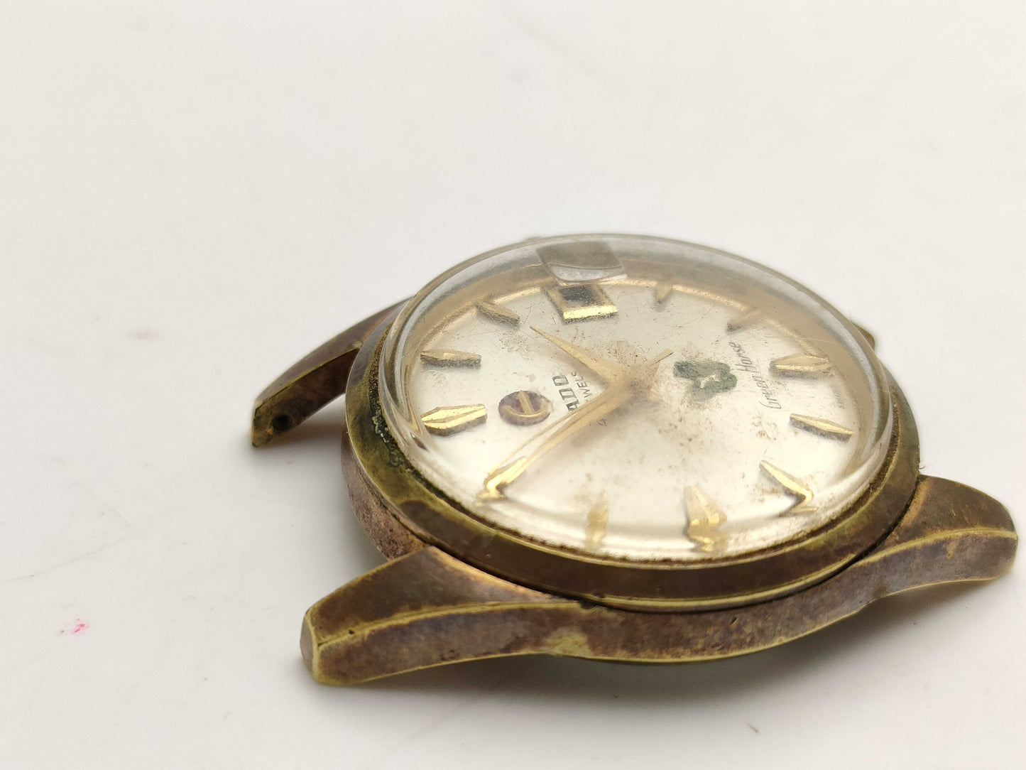 RADO Green Horse/Water Shield/Face Only Boys' Watch