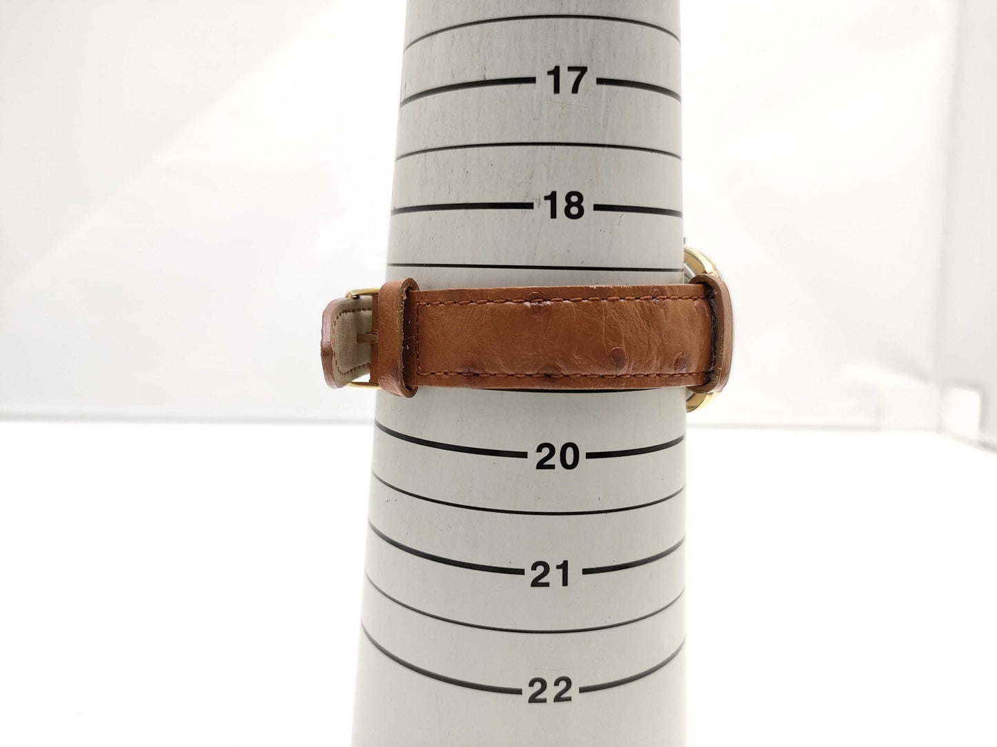 CITIZEN deluxe manual winding boys' watch