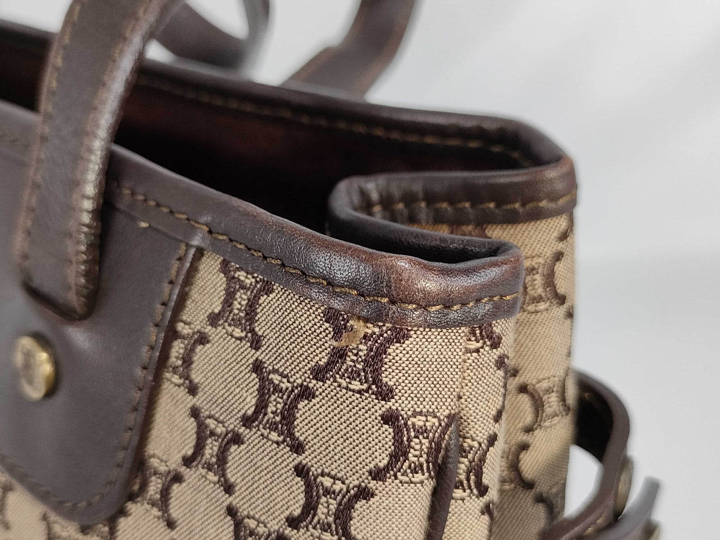 CELINE Canvas Tote Bag