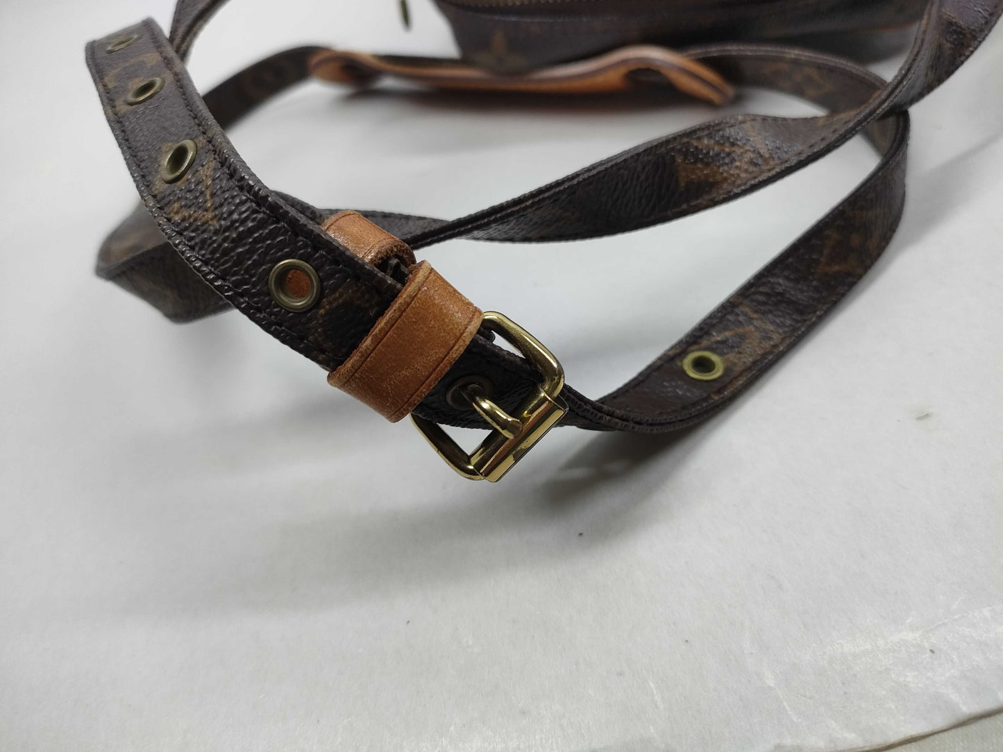 LOUIS VUITTON M45236 Monogram Amazon Shoulder Bag