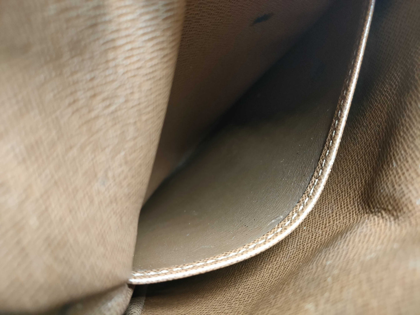 LOUIS VUITTON M45236 Monogram Amazon Shoulder Bag
